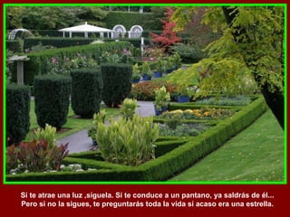 Si te atrae una luz ,síguela. Sí te conduce a un pantano, ya saldrás de él... Pero si no la sigues, te preguntarás toda la vida sí acaso era una estrella. 