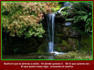 Sueña lo que te atrevas a soñar.  Ve donde quieras ir.  Sé lo que quieras ser.  El que quiere hacer algo,  encuentra el camino. 