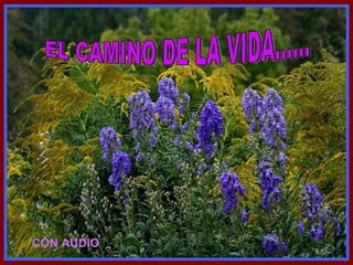 Suiza Música:   Time to said goodbye (Sarah Brightman y Andrea Bocelli) EL CAMINO DE LA VIDA...... CON AUDIO 