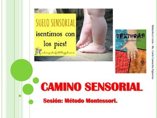 CAMINO SENSORIAL
Sesión: Método Montessori.
DidácticaIciclo-Ms.CarlaCamachoFigueroa
 