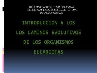 INTRODUCCIÓN A LOS
LOS CAMINOS EVOLUTIVOS
DE LOS ORGANISMOS
EUCARIOTAS
HOLA MIS CHACHOS EN ÉSTA HORAVANA
ESCRIBIRY AMPLIAR SI ES NECESARIO ELTEMA
DE LAS DIAPOSITIVAS
 