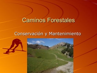 Caminos Forestales

Conservación y Mantenimiento
 