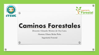 Caminos Forestales
Docente: Eduardo Montes de Oca Cano.
Alumna: Eliana Molar Peña.
Ingeniería Forestal
 
