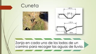 Cuneta
Zanja en cada uno de los lados de un
camino para recoger las aguas de lluvia.
 