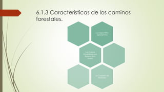 6.1.3 Características de los caminos
forestales.
La Capa Filtro
del Camino
Las Capas
Estabilizadoras
(Base y Sub-
base)
La Carpeta de
Rodado
 
