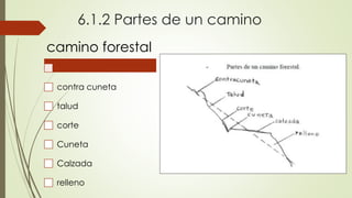6.1.2 Partes de un camino
camino forestal
contra cuneta
talud
corte
Cuneta
Calzada
relleno
 