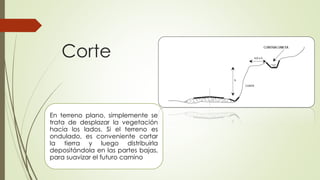 Corte
En terreno plano, simplemente se
trata de desplazar la vegetación
hacia los lados. Si el terreno es
ondulado, es conveniente cortar
la tierra y luego distribuirla
depositándola en las partes bajas,
para suavizar el futuro camino
 