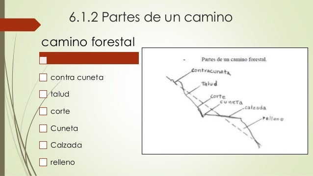 Caminos forestales