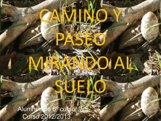CAMINO Y
     PASEO
   MIRANDO AL         por

     SUELO
Alumnos de 6º curso
 Curso 2012/2013
 