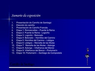 Sumario da exposiciónPresentación do Camiño de SantiagoElección do camiñoPresentación do Camiño FrancésEtapa 1: Roncesvalles – Puente la ReinaEtapa 2: Puente la Reina - LogroñoEtapa 3: Logroño - BeloradoEtapa 4: Belorado – Hornillos del CaminoEtapa 5: Hornillos del Camino – LédigosEtapa 6: Lédigos – Mansilla de las MulasEtapa 7:  Mansilla de las Mulas - AstorgaEtapa 8: Astorga – Villafranca del BierzoEtapa 9: Villafranca del Bierzo – PortomarínEtapa 10: Portomarín – Santiago de CompostelaCamiño de Santiago