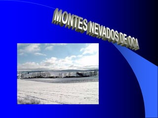 Nájera -  Santo Domingo de la CalzadaCIRUEÑAAzofraRETABLOSANTA MARÍA LA REALPANTEÓN