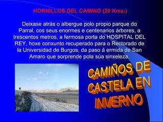 ETAPA 4: BELORADOHORNILLOS DEL CAMINOBELORADO - SAN JUAN DE ORTEGA (24 Kms.)Nada mais sair do pobo,  crúzase o río Tirón por unha ponte de pedra.  Síguese pola carretera e tomase un camiño a esquerda para así chegar a  poboación de Tosantos. O camiño discorre pola parte traseira do pobo, coa silueta da igrexa de Villambistia a dous quilómetros da nosa vista. 