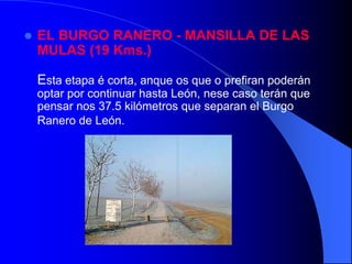 ETAPA 6: LÉDIGOS – MANSILLA DE LAS MULASLÉDIGOS - SAHAGÚN (16.1 Kms.)A  saída de Ledigos  cruzase o asfalto e continuando por unscamiños de concentración paralelos á carretera, que en parte recuperan a antiga ruta,  alcanzase Terradillos de templarios. 
