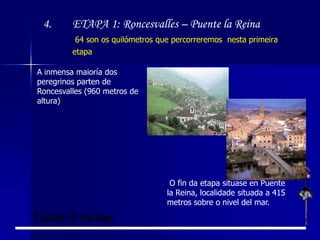 Percorreremos de forma virtual un total de case 800 quilómetros en dez etapas empezando en Roncesvalles e terminando en SANTIAGO DE COMPOSTELA.