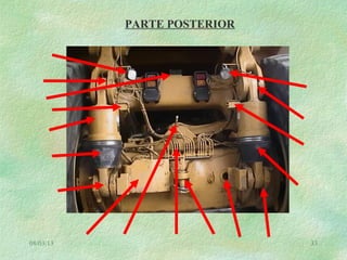 08/03/13 33
PARTE POSTERIOR
 