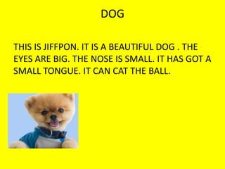 DOG
THIS IS JIFFPON. IT IS A BEAUTIFUL DOG . THE
EYES ARE BIG. THE NOSE IS SMALL. IT HAS GOT A
SMALL TONGUE. IT CAN CAT THE BALL.
 
