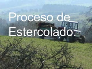 Proceso de
Estercolado:
 
