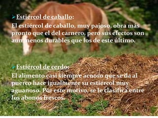 Estiércol de caballo:
El estiércol de caballo, muy pajoso, obra más
pronto que el del carnero, pero sus efectos son
aun menos durables que los de este último.
Estiércol de cerdo:
El alimento casi siempre acuoso que se da al
puerco hace igualmente su estiércol muy
aguanoso. Por este motivo, se le clasifica entre
los abonos frescos.
 