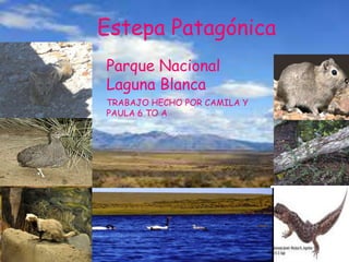 Estepa Patagónica
Parque Nacional
Laguna Blanca
TRABAJO HECHO POR CAMILA Y
PAULA 6 TO A
 