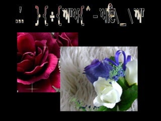 IMÁGENES RECORTADAS 