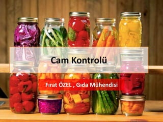 Cam Kontrolü
Fırat ÖZEL , Gıda Mühendisi
 