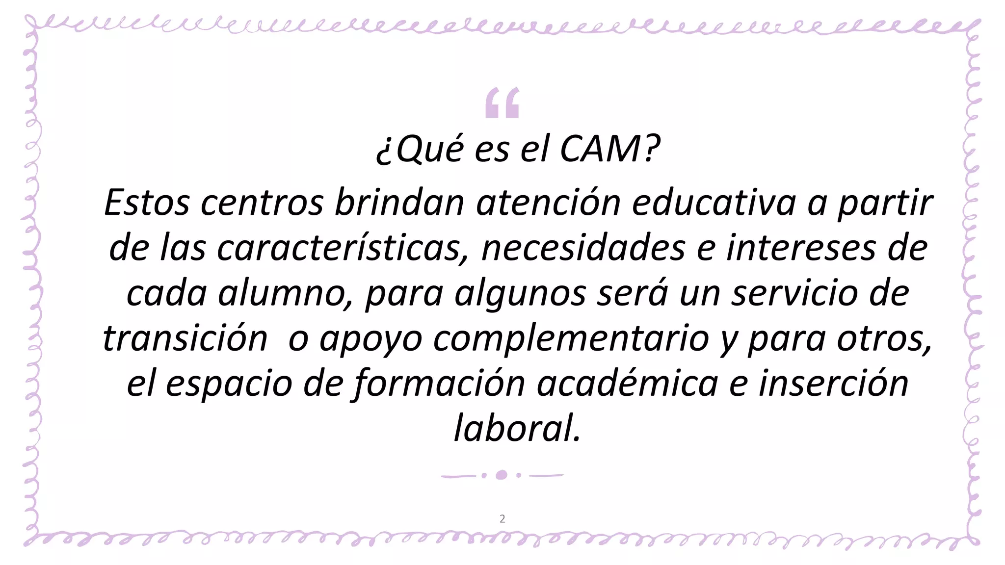 Planes Y Programas De Cam Laboral