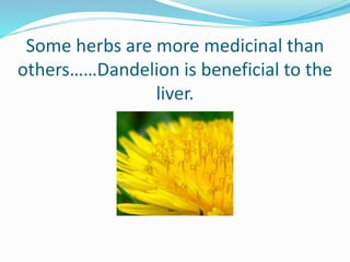 Some herbs are more medicinal than
others……Dandelion is beneficial to the
liver.
 
