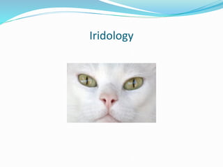 Iridology
 