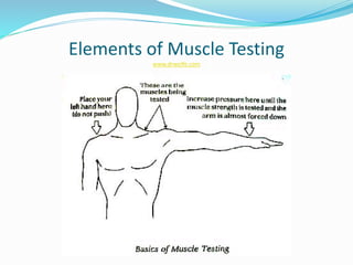 Elements of Muscle Testing
www.drwolfe.com
 