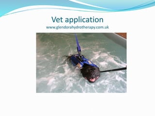 Vet application
www.glendorahydrotherapy.com.uk
 