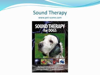 Sound Therapy
www.pet-scene.com
 