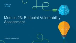 CyberOps Associate Modul 23 Endpoint Vulnerability Assessment | PDF