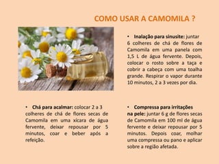 COMO USAR A CAMOMILA ?
• Inalação para sinusite: juntar
6 colheres de chá de flores de
Camomila em uma panela com
1,5 L de água fervente. Depois,
colocar o rosto sobre a taça e
cobrir a cabeça com uma toalha
grande. Respirar o vapor durante
10 minutos, 2 a 3 vezes por dia.
• Chá para acalmar: colocar 2 a 3
colheres de chá de flores secas de
Camomila em uma xícara de água
fervente, deixar repousar por 5
minutos, coar e beber após a
refeição.
• Compressa para irritações
na pele: juntar 6 g de flores secas
de Camomila em 100 ml de água
fervente e deixar repousar por 5
minutos. Depois coar, molhar
uma compressa ou pano e aplicar
sobre a região afetada.
 
