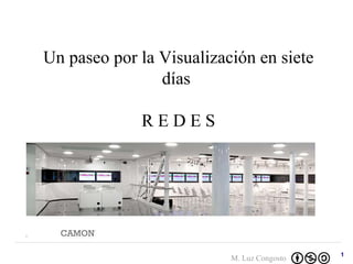 Un paseo por la Visualización en siete días  R E D E S 