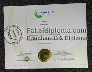 Camosun College diploma