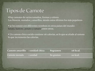 Tipos de CamoteHay camotes de varios tamaños, formas y colores.Los blancos, morados y amarillos, siendo estos últimos los más populares se les conoce con diferentes nombres en otros países del mundo: batata, kamote, potato y cumara, entre otros.