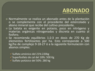  Normalmente se realiza un abonado antes de la plantación
o se complementa con el procedente del estercolado y
abono mineral que recibe del cultivo precedente.
 La batata es exigente en potasio, poco en nitrógeno y
materias orgánicas nitrogenadas y discreta en cuanto al
fosforo.
 Se recomienda equilibrios 1:2:3 en dosis de 270 Kg de
elementos fertilizantes por ha. Esto corresponde a 500
kg/ha de complejo 9-18-27 ó a la siguiente formulación con
abonos simples:
Sulfato amónico del 21%:220kg
Superfosfato de cal del 18%: 500 Kg
Sulfato potásico del 50%: 280 kg
 