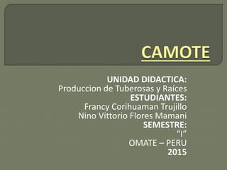 UNIDAD DIDACTICA:
Produccion de Tuberosas y Raíces
ESTUDIANTES:
Francy Corihuaman Trujillo
Nino Vittorio Flores Mamani
SEMESTRE:
“I”
OMATE – PERU
2015
 