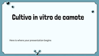 Cultivo in vitro de camote
Here is where your presentation begins
 