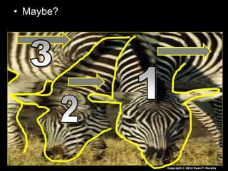 • Maybe?
Copyright © 2010 Ryan P. Murphy
 