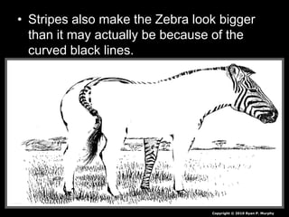 • Stripes also make the Zebra look bigger
than it may actually be because of the
curved black lines.
Copyright © 2010 Ryan P. Murphy
 