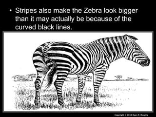• Stripes also make the Zebra look bigger
than it may actually be because of the
curved black lines.
Copyright © 2010 Ryan P. Murphy
 