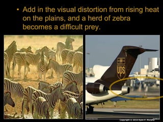 • Add in the visual distortion from rising heat
on the plains, and a herd of zebra
becomes a difficult prey.
Copyright © 2010 Ryan P. Murphy
 