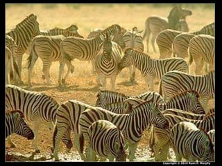 Copyright © 2010 Ryan P. Murphy
 