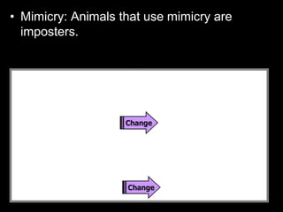 • Mimicry: Animals that use mimicry are
imposters.
 