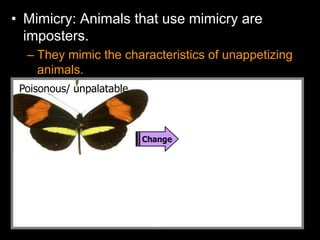• Mimicry: Animals that use mimicry are
imposters.
– They mimic the characteristics of unappetizing
animals.
Poisonous/ unpalatable
 