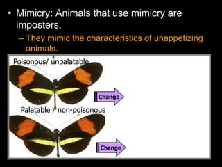 • Mimicry: Animals that use mimicry are
imposters.
– They mimic the characteristics of unappetizing
animals.
Poisonous/ unpalatable
Palatable / non-poisonous
 