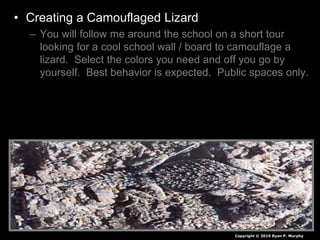 • Creating a Camouflaged Lizard
– You will follow me around the school on a short tour
looking for a cool school wall / board to camouflage a
lizard. Select the colors you need and off you go by
yourself. Best behavior is expected. Public spaces only.
– Name must be on the back.
– Must be clearly visible on surface of room or hallway
somewhere. (Not under tables in closets etc) – use tape
to secure to a height between knees and tallest reach.
– When I see it, I remove it and grade it.
– Who will last the year without me finding it?
– Backwards grading. If I don’t find it you win.
• Note you will be asked to bring it to me at some point.
Copyright © 2010 Ryan P. Murphy
 