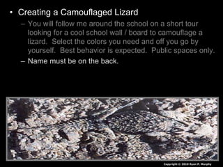 • Creating a Camouflaged Lizard
– You will follow me around the school on a short tour
looking for a cool school wall / board to camouflage a
lizard. Select the colors you need and off you go by
yourself. Best behavior is expected. Public spaces only.
– Name must be on the back.
– Must be clearly visible on surface of room or hallway
somewhere. (Not under tables in closets etc) – use tape
to secure to a height between knees and tallest reach.
– When I see it, I remove it and grade it.
– Who will last the year without me finding it?
– Backwards grading. If I don’t find it you win.
• Note you will be asked to bring it to me at some point.
Copyright © 2010 Ryan P. Murphy
 