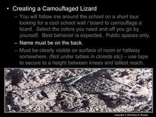 • Creating a Camouflaged Lizard
– You will follow me around the school on a short tour
looking for a cool school wall / board to camouflage a
lizard. Select the colors you need and off you go by
yourself. Best behavior is expected. Public spaces only.
– Name must be on the back.
– Must be clearly visible on surface of room or hallway
somewhere. (Not under tables in closets etc) – use tape
to secure to a height between knees and tallest reach.
– When I see it, I remove it and grade it.
– Who will last the year without me finding it?
– Backwards grading. If I don’t find it you win.
• Note you will be asked to bring it to me at some point.
Copyright © 2010 Ryan P. Murphy
 